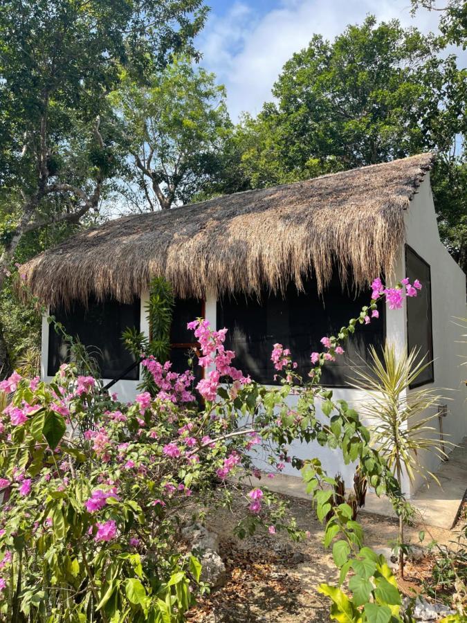 Maya Eco Village Akumal Luaran gambar